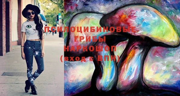 соль курить ск Богородск