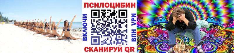 blacksprut сайт  Нюрба  Псилоцибиновые грибы мицелий 